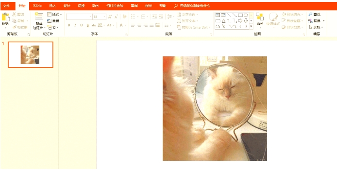 ppt图片透明度在哪里设置-ppt图片透明度设置方法