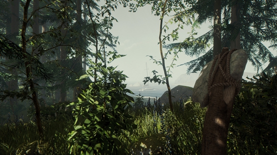 游戏《森林》手机版 v1.4